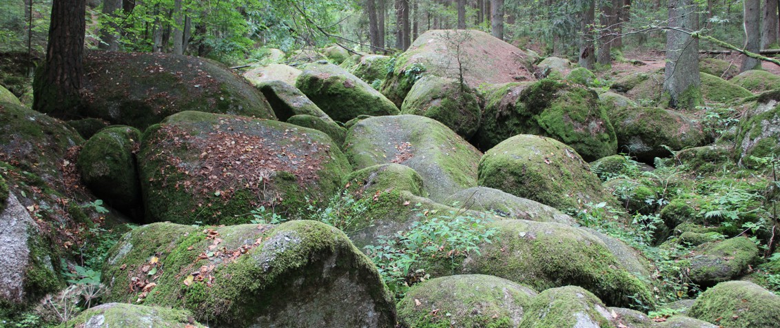 Naturschutzgebiet Doost