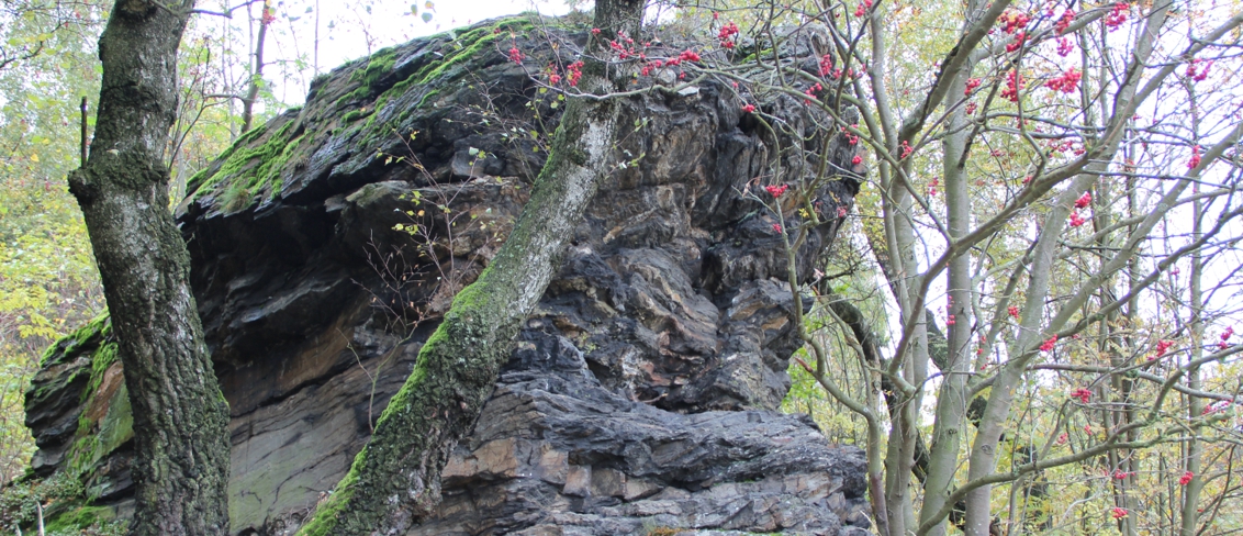 Geotop Lerchenbühl