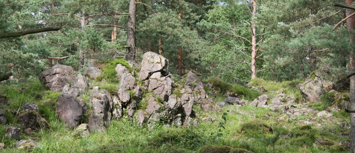 Geotop Föhrenbühl