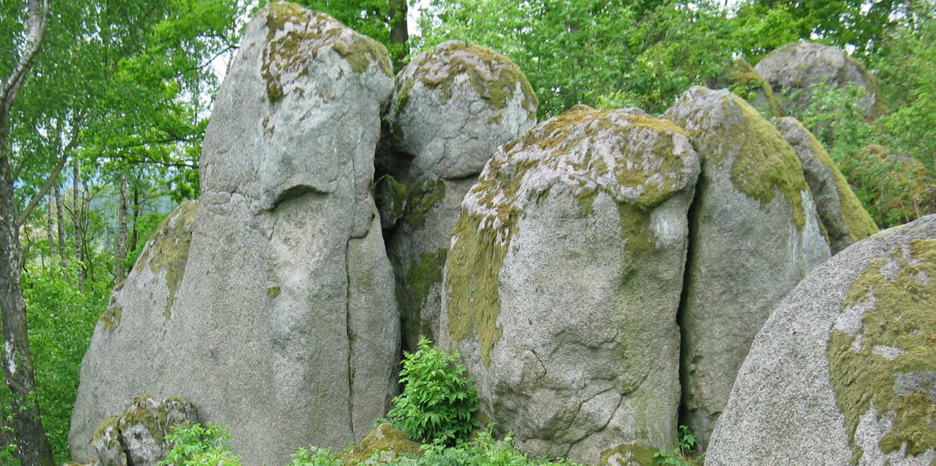 Geotop Hoher Fels bei Leuchtenberg