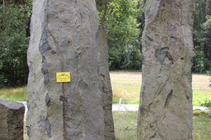 Taennesberg_Ehmann