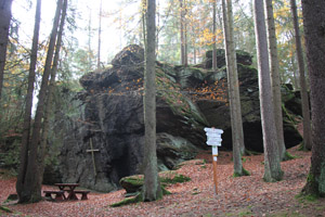 Neualbenreuth_Ringlfelsen_Heidelberg