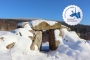Winterwandertag_kl