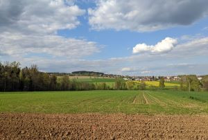 Gommelberg2