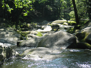 Falkenberg_Waldnaabtal_Butterfass