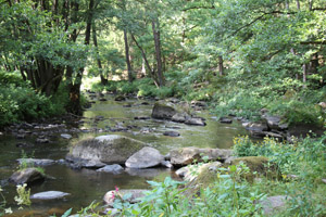 Windischeschenbach_Zwei_Fluesse