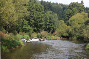Taennesberg_Tanzmuehle
