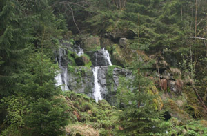 Thusfall