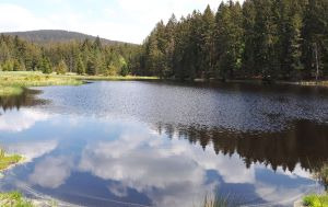 Fichtelsee_3