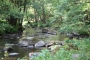 Windischeschenbach_Zwei_Fluesse