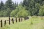 Baernau_Hochmoor