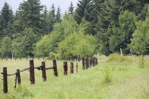 Baernau_Hochmoor