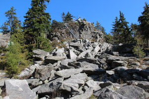 Erbendorf_Steinwald_Loewen