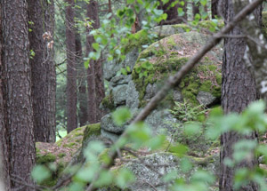 Roggenstein_Von_Stein_zu