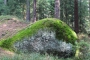 Alte_Landesgrenze-Tour_2