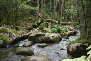 Leuchtenberg_Lerautal_Maerchen