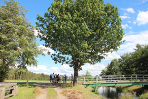 Etzenricht_Haidenaab