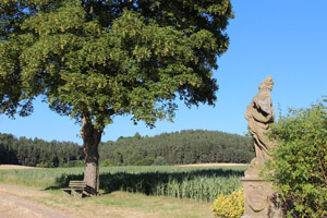 Speinshart_Barbaraberg