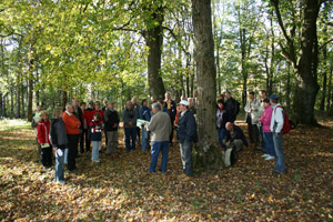 Bayreuth_Sophienberg