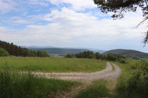 Neudrossenfeld_Schwingen