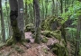 Betzenstein_Eibgrat_4