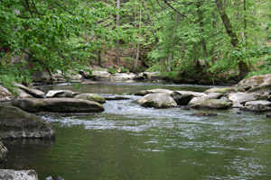Windischeschenbach_Oedwalpersreuth_Waldnaabtal
