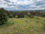 Pottenstein_Hohe_Leite_1