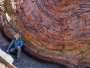 Vortrag_Australien_Alfing_(2)