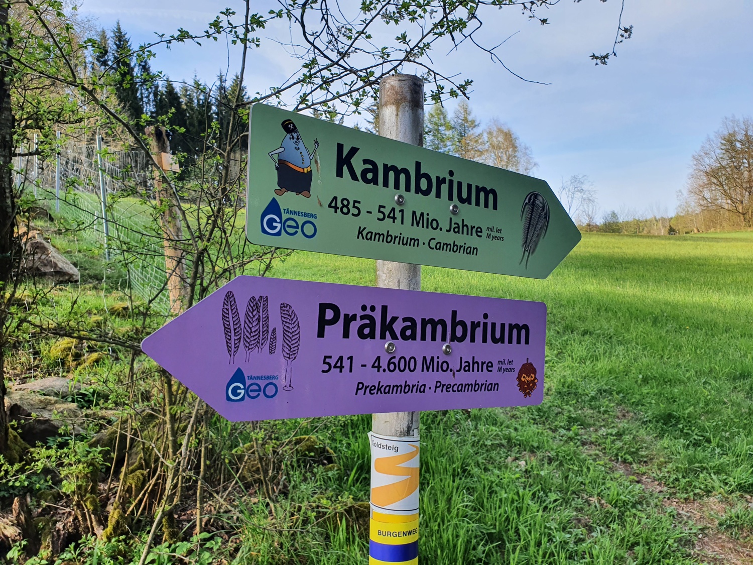 Tännesberg Infotafeln